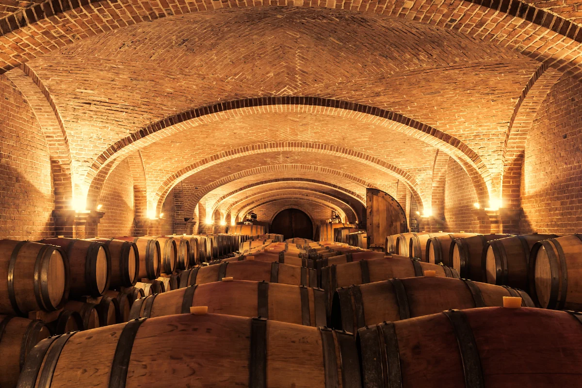 lyon activité en duo