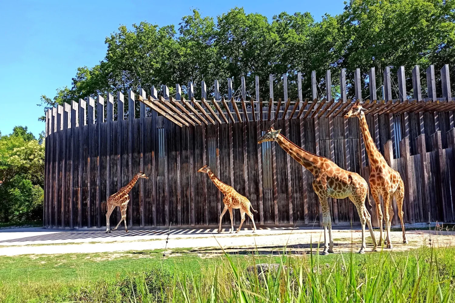 activité enfant lyon