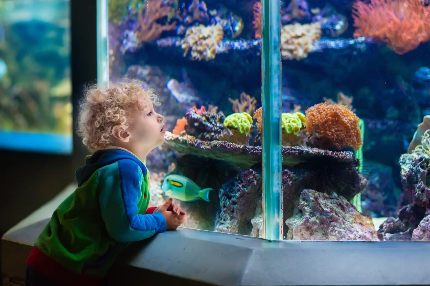 activité lyon famille