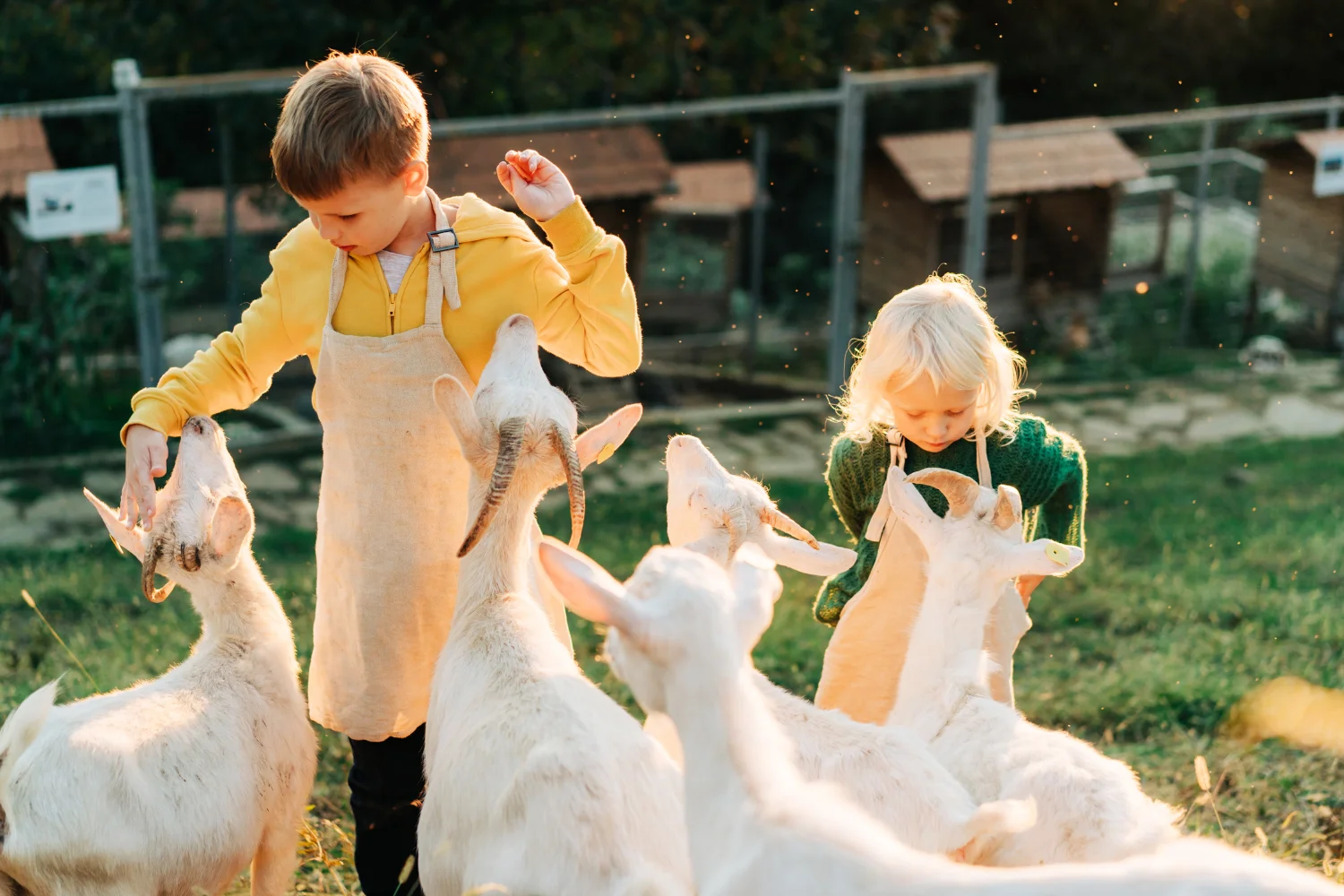 activité a faire en famille lyon