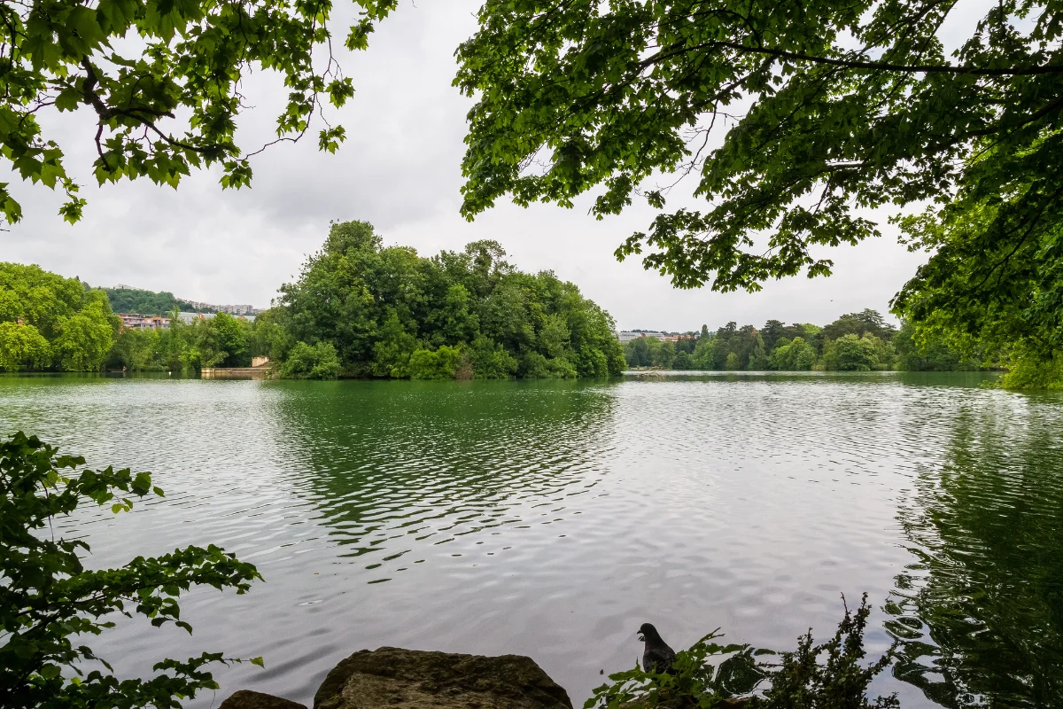 activité lyon couple