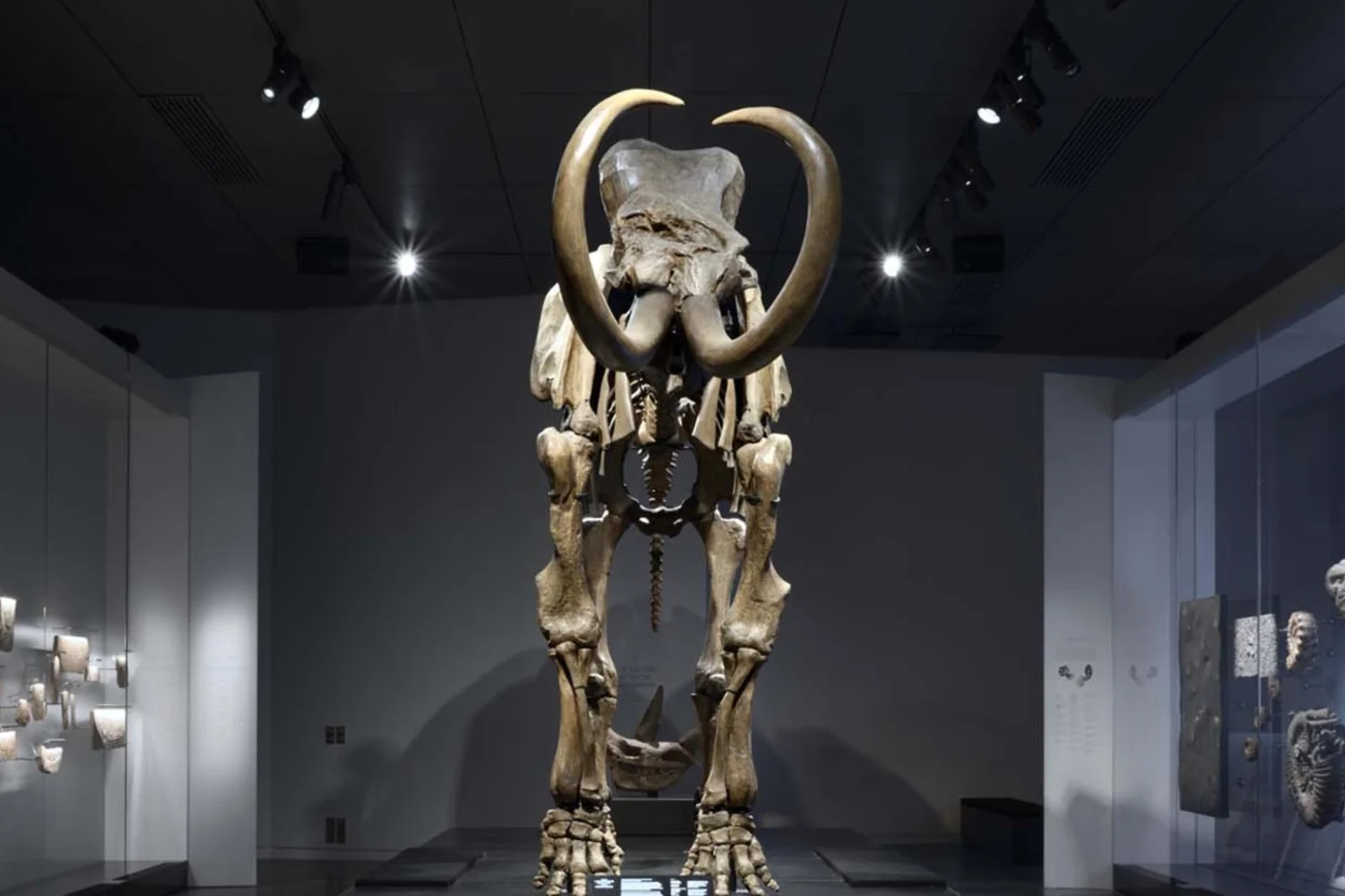 anniversaire enfant lyon 2