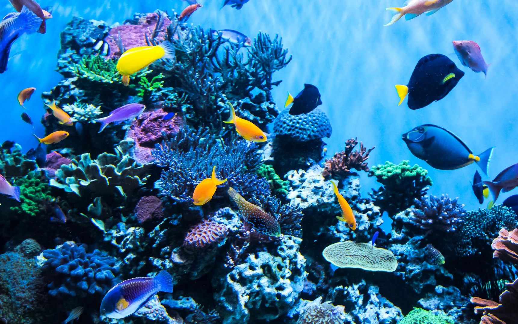 activité jeunes 12 17 ans animation