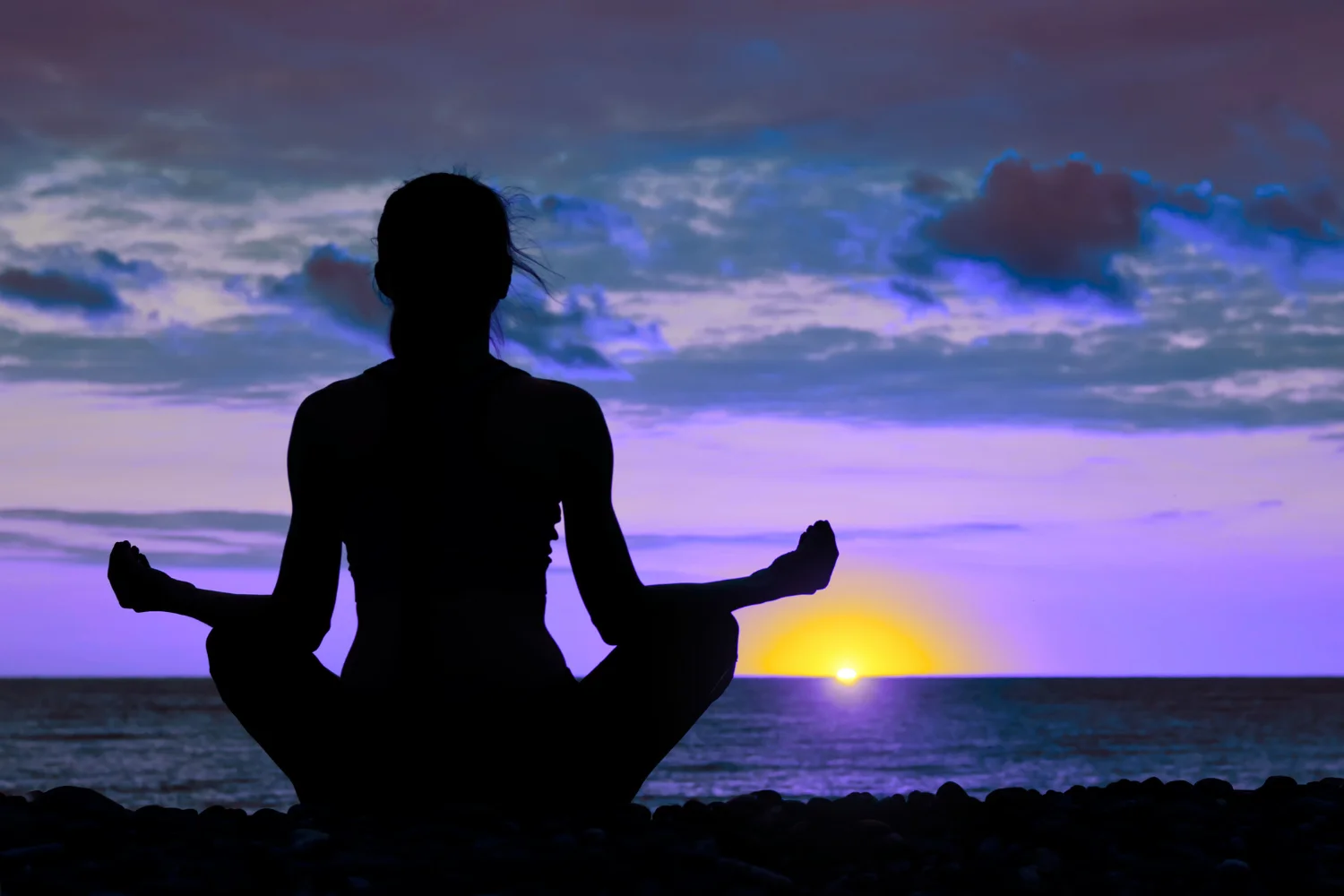 jouer action game lyon