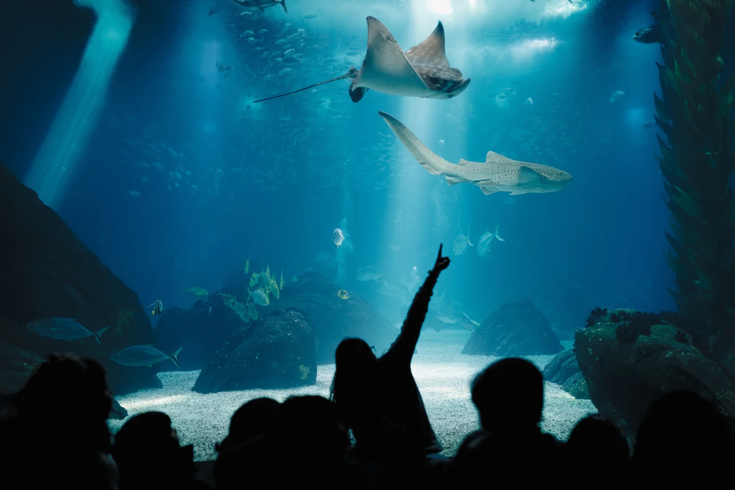 anniversaire enfant lyon 3 ans